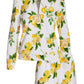 Lemon Half Zip French Terry Short Set White Multi